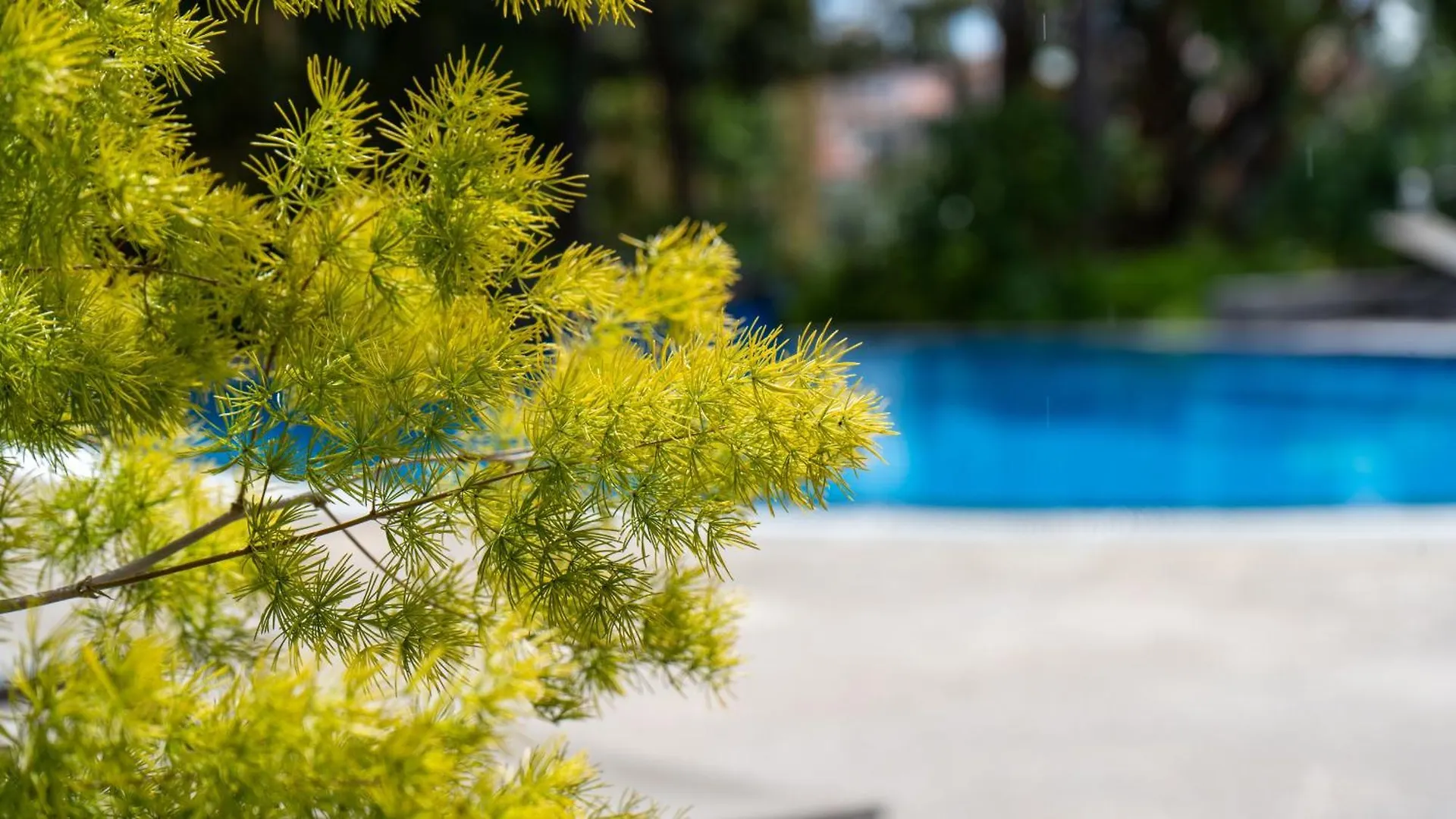 Deluxe Living By Lovelystay Funchal  Apartmán Funchal (Madeira)